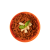 Liofilizowane Spaghetti bolognese EXPEDITION FOODS